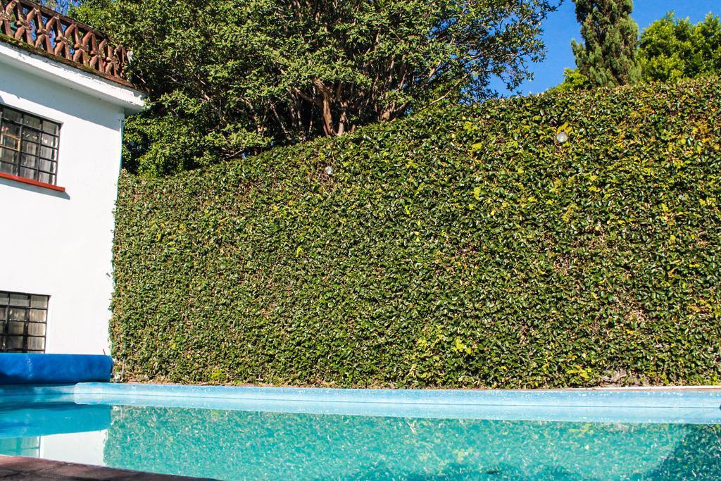 Hotel Milcoapa à Tepoztlán Extérieur photo